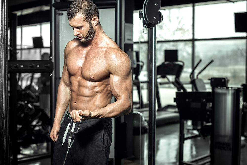 Key Muscle Groups: Arm Workout Sessions - Establishers